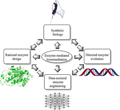 New Trends in Bioremediation Technologies Toward Environment-Friendly Society: A Mini-Review